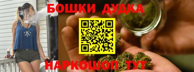 крисы Славгород