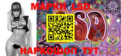 крисы Славгород