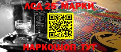 крисы Славгород
