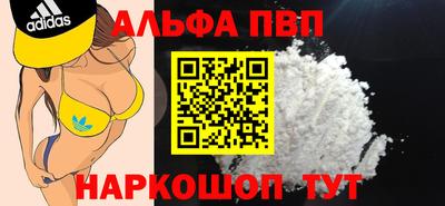 крисы Славгород