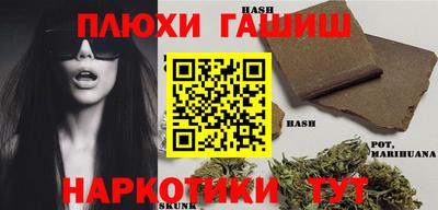 крисы Славгород