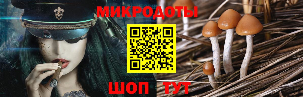 Псилоцибиновые грибы MAGIC MUSHROOMS Новый Уренгой